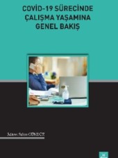 Covid – 19 Süreci̇nde Çalışma Yaşamına Genel Bakış