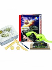 Sun-eas-bilim Set Velocıraptor İskeleti